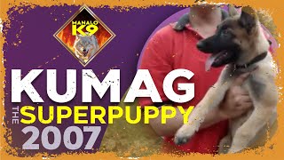 KUMAG the Superpuppy  Manalo K9 Superdogs 2007 [upl. by Ynez8]