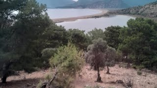 Dalyan boat trip Turkey Turtle hospital and Tombs of the Kings [upl. by Buskirk]