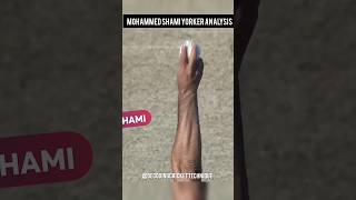 How Mohammed Shami Perfected The Deadliest Yorker [upl. by Yeliab678]