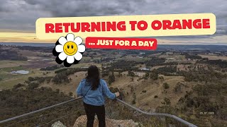 Returning to Orange  Maussie Stories [upl. by Pip]