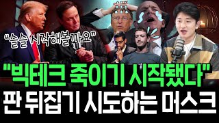 독기 품은 머스크의 빅테크 때리기 판 뒤집기 성공할까 [upl. by Htennaj]