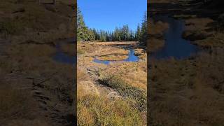 Wanderung auf den Wannenkopf wandertour wandern nature moor [upl. by Cordova836]