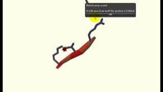 Foldit Game Tutorial  Level 12 Swing It Aroundmp4 [upl. by Seuguh]