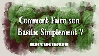 Comment semer et repiquer son basilic simplement [upl. by Atilegna]