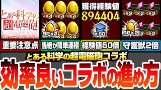 【モンスト】効率良いコラボの進め方まとめ！合計オーブは〇個！超絶おいしい自動販売機と能力の使い方！守護獣2倍で周回！経験値50倍でランク上げ！約3周で轟絶が運極に【超電磁砲コラボ】へっぽこストライカー [upl. by Akihdar]