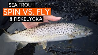 SEA TROUT fishing SPIN vs FLY amp meeting Fiskelycka [upl. by Bert]