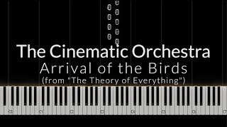 The Cinematic Orchestra  Arrival of the Birds from quotThe Theory of Everythingquot Piano Cover [upl. by Ishmael487]