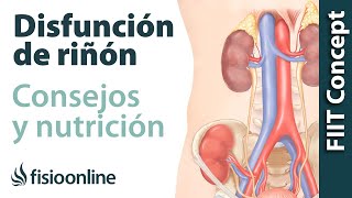 Alimentación nutrición y consejos dietéticos para la disfunción de riñón [upl. by Areht123]