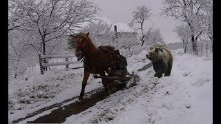 How we survive harsh winters for thousands of years in the mountains [upl. by Aihc]