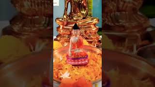 pimpalachya panavar pahile chitra gautamche song subscribe [upl. by Akit]