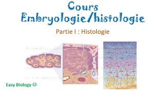 Histologie  Les épithéliums  Épithélium de revêtement et épithéliums glandulaires بالدارجة [upl. by Coco]