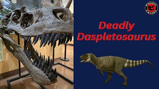 Deadly Daspletosaurus Exhibit [upl. by Arvin]