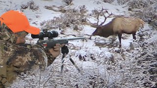 Big Bulls on Public Land  Rifle Elk Hunting Eastmans Hunting Journals [upl. by Leitao]