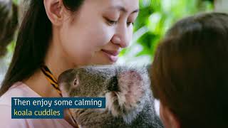 Three Days in Cairns  City Guides  Tourism Australia [upl. by Yelnet]