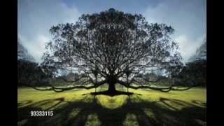 Abraham Hicks 💖🎶  NOW We Are Free 🙏✨🥰 [upl. by Errot]