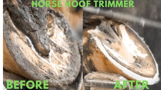 Horse Hoof Trimmer [upl. by Arot]