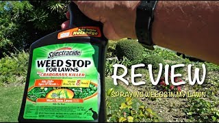 Spectracide Weed Stop for Lawns  Does it work Clover and Dandelion test [upl. by Heindrick75]