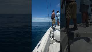 50 Miles offshore and we found a floating barrel floridasportfishing offshoreboating fishing [upl. by Anawahs]