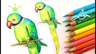 Halsbandsittich zeichnen 🦜 Vogel malen 🐣 How to draw a bird 🐦 La Perruche à collier [upl. by Angel]