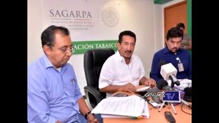 SAGARPA reduce presupuesto para programas en Tabasco [upl. by Nyrhtac]