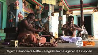 Ragam Gambheera Nattai  Nagaswaram Paganeri K Pillappan [upl. by Llemaj]