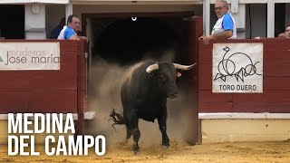 Medina del Campo 2024 Campeonato con Toros Bravos [upl. by Adolfo773]