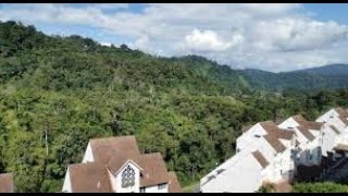 KAMPUNG BUKIT TINGGI BENTONG PAHANG 🇲🇾 [upl. by Nylaj]