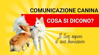 Comunicazione canina  il mio cane parla  Mirko Darar [upl. by Camila]