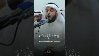 Beautiful Quran Recitation [upl. by Ydniw]