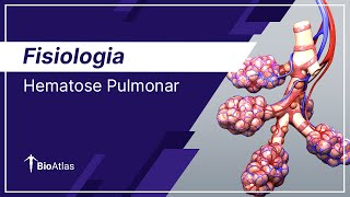 Hematose Pulmonar  Fisiologia  BioAtlas [upl. by Novek]