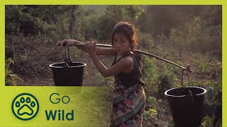 Laos Wonderland full documentary  Go Wild [upl. by Kaazi]