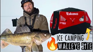 Ice Fishing a CRAZY Walleye Bite While ICE CAMPING [upl. by Kreindler610]