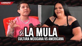 Asi eś la Cultura en USA vs MÉXICO — La MULA [upl. by Arabelle665]