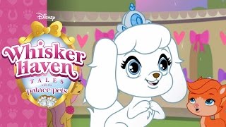 Disney Palace Pets 2 in Whisker Haven  Princess Jasmines Pet Sultan New Game for Kids [upl. by Haynor]