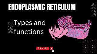 Endoplasmic Reticulum in urdu hindi and English Rough and smooth Endoplasmic Reticulum Cisternae [upl. by Brittne]