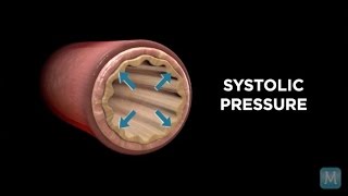 Cardiac Conduction System and Understanding ECG Animation [upl. by Sikes991]