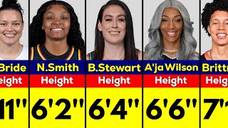 The Best WNBA Players by Height [upl. by Yenaj]