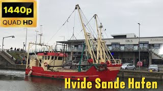 Kutter in Hvide Sande Hafen1440p 60fps Aufnahme [upl. by Brigid389]