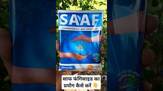 How To Use Saaf Fungicide In Plants 🌱🌿 [upl. by Reinnej]