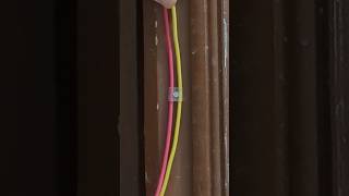 Essential DIY Electrical Tips Every Beginner Should Know shortvideo diy electrician [upl. by Reaht698]