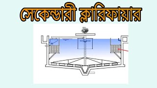 How does a Secondary clarifier tank work in ETP। ইটিপিতে কিভাবে সেকেন্ডারি ক্লারিফায়ার কাজ করে। [upl. by Leiram]