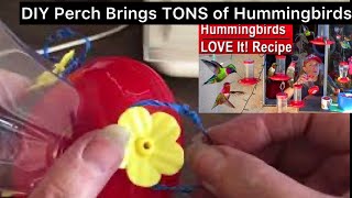 Dollar Store Hummingbird Feeder EASY How to Make a Perch to Attract Hummingbirds amp DIY Nectar Recipe [upl. by Saihttam276]