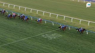 澳洲考菲爾德盃 Caulfield Cup 一級賽 G1 20241019 2400m 勝算公爵 Duke De Sessa 考菲爾德馬場 Caulfield Racecourse [upl. by Kacey386]