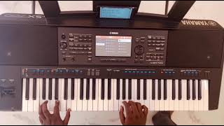 Indian Entertainer Pack  Free Indian Styles  Yamaha PSR SX700 [upl. by Caesaria]