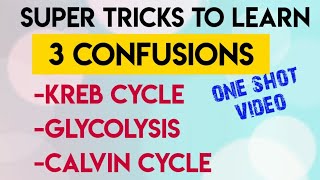 Trick To Learn KREB CYCLEGLYCOLYSISCALVIN CYCLE In One Video  Neet [upl. by Yroger]