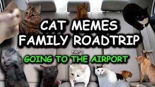 Cat memes My family going to the airport part 1 [upl. by Anilos]