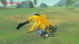 BOTW  red lynel speed kill combo [upl. by Phila]