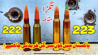 222Rifle Vs 223Rifle  Which Gun Is Better 556 Vs 545 [upl. by Eltrym]