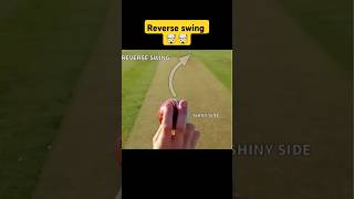 How to reverse swing ball🤯🤯  SWING BALL TIPS shorts​ cricket​ cricketlover sigma ytshorts [upl. by Siffre413]