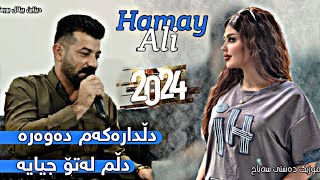 Hamay Ali 2024 Daneshtni Hamno w Pavel Trak1 music Dashte sabah [upl. by Ateuqram]